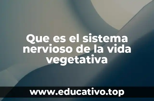 Que es el sistema nervioso de la vida vegetativa