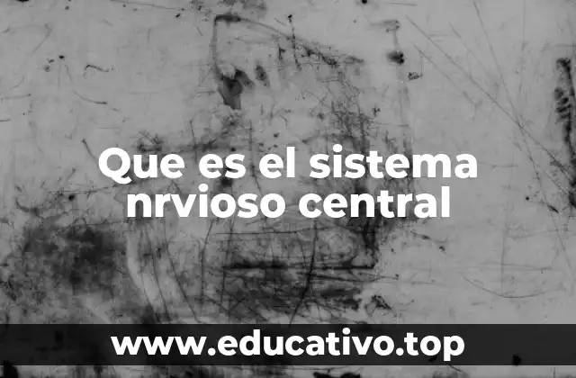 Que es el sistema nrvioso central