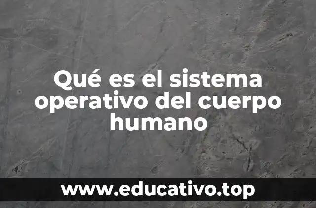 Qué es el sistema operativo del cuerpo humano