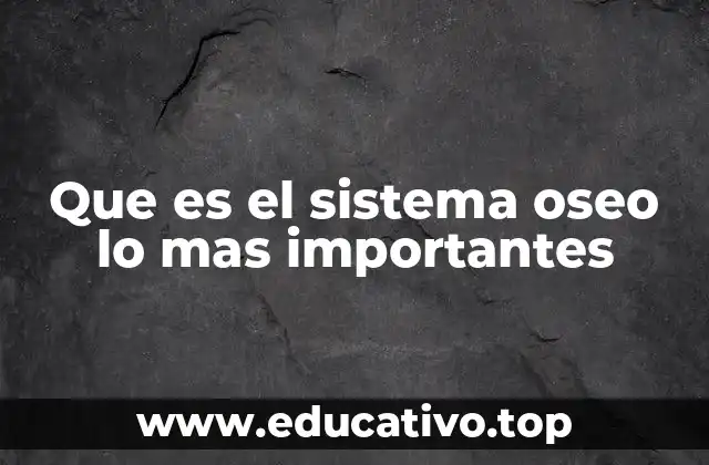 Que es el sistema oseo lo mas importantes