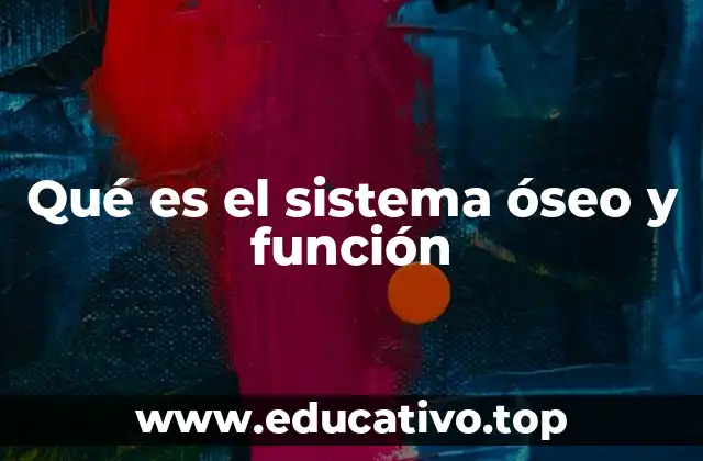 Qué es el sistema óseo y función
