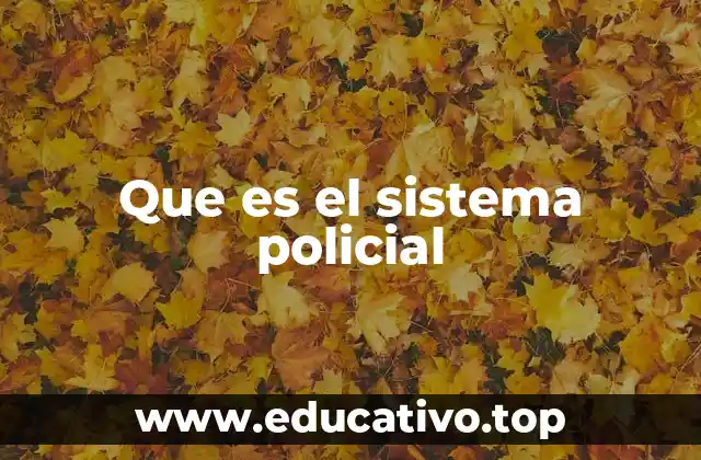 Que es el sistema policial