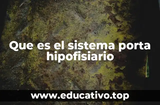 La conexión entre el hipotálamo y la hipófisis