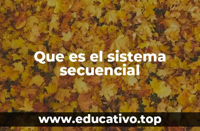 Que es el sistema secuencial