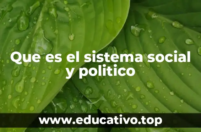 Que es el sistema social y politico