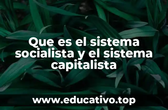 Que es el sistema socialista y el sistema capitalista