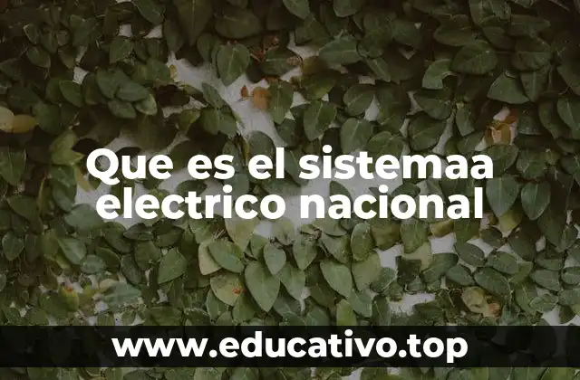 Que es el sistemaa electrico nacional