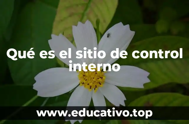 Qué es el sitio de control interno