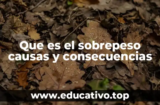 Factores que influyen en el aumento de peso corporal