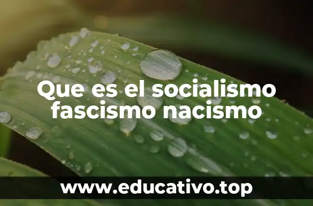 Que es el socialismo fascismo nacismo