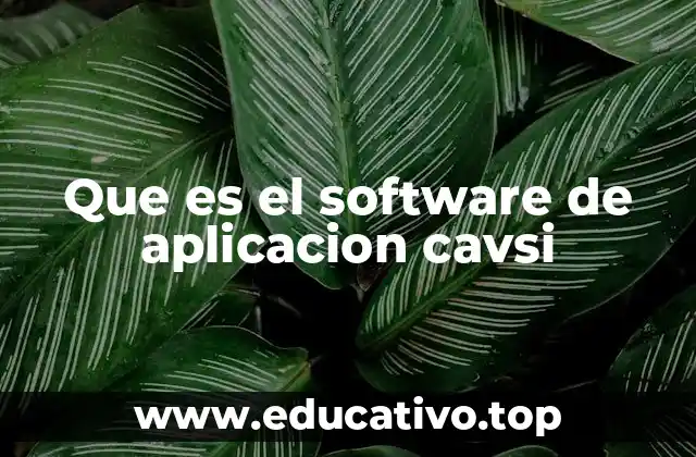 Que es el software de aplicacion cavsi