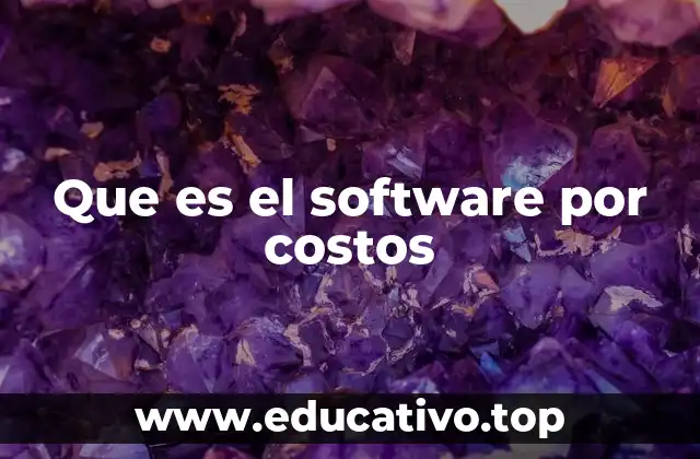 Que es el software por costos