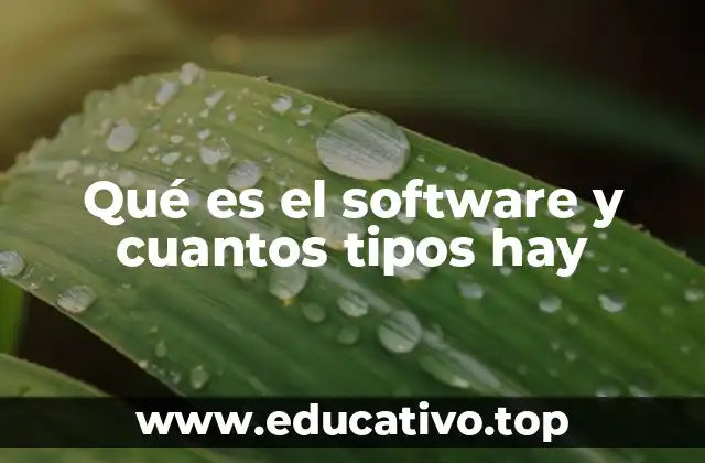 Qué es el software y cuantos tipos hay