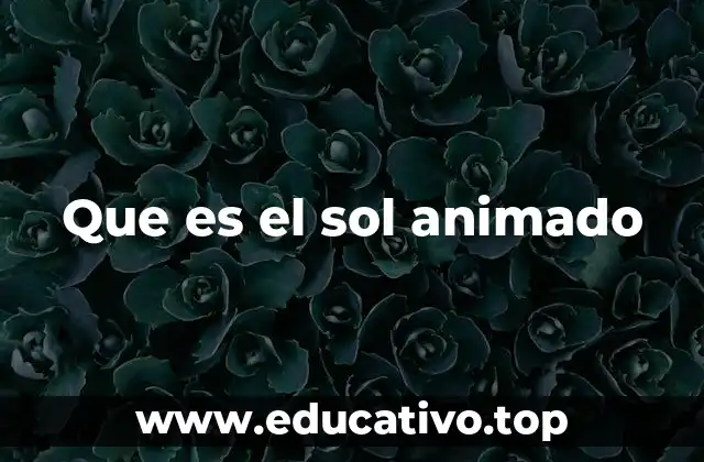 Que es el sol animado