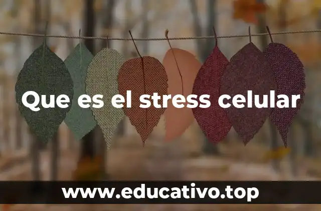 Que es el stress celular