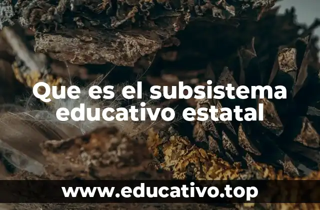 Que es el subsistema educativo estatal