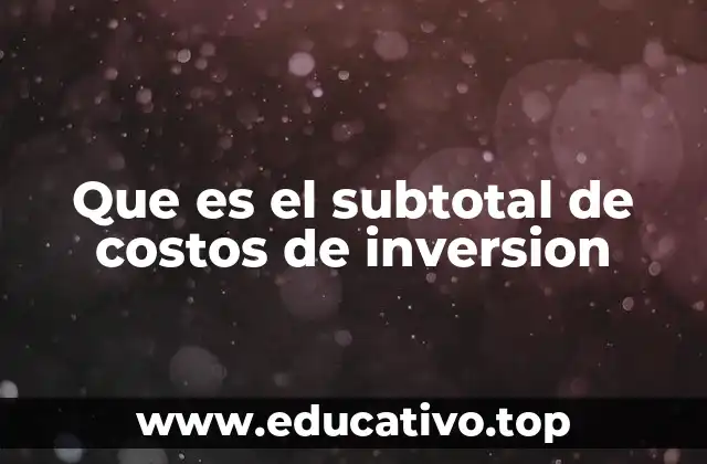 Que es el subtotal de costos de inversion
