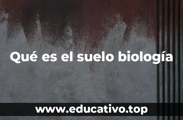 El suelo como ecosistema biológico