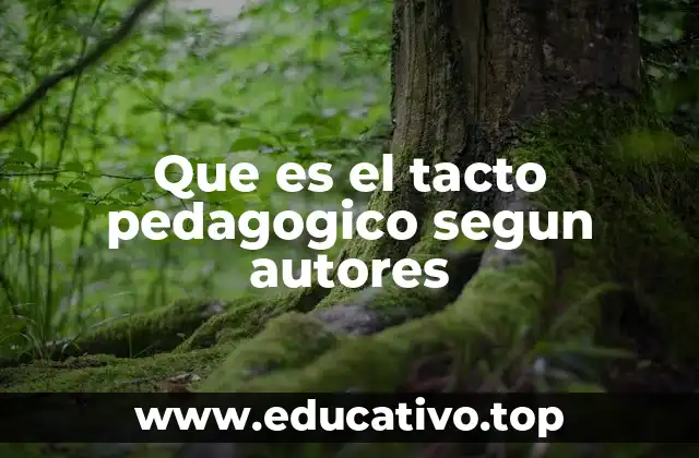 Que es el tacto pedagogico segun autores