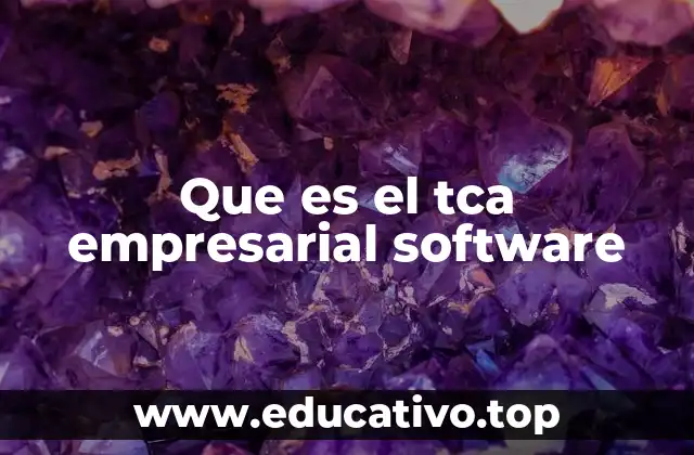 Que es el tca empresarial software