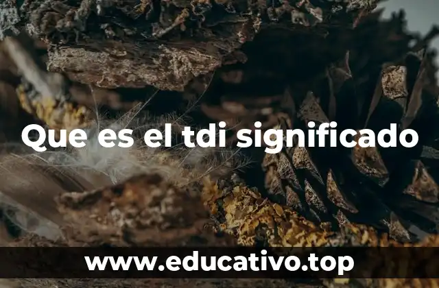 Que es el tdi significado