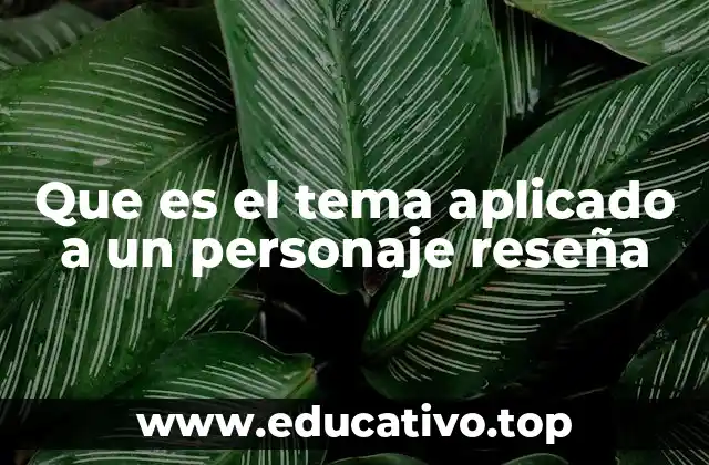 Que es el tema aplicado a un personaje reseña