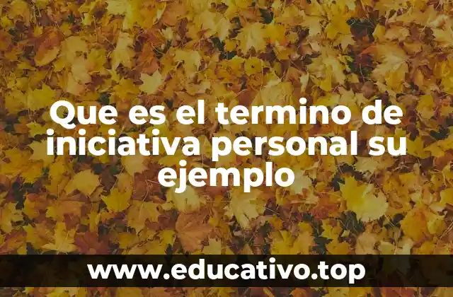 Que es el termino de iniciativa personal su ejemplo