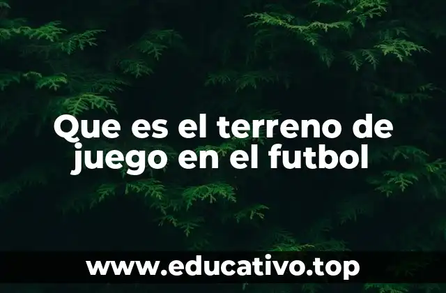 La importancia del diseño del campo en el fútbol
