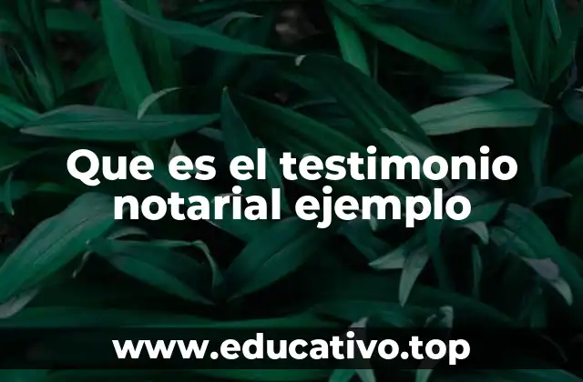 Que es el testimonio notarial ejemplo