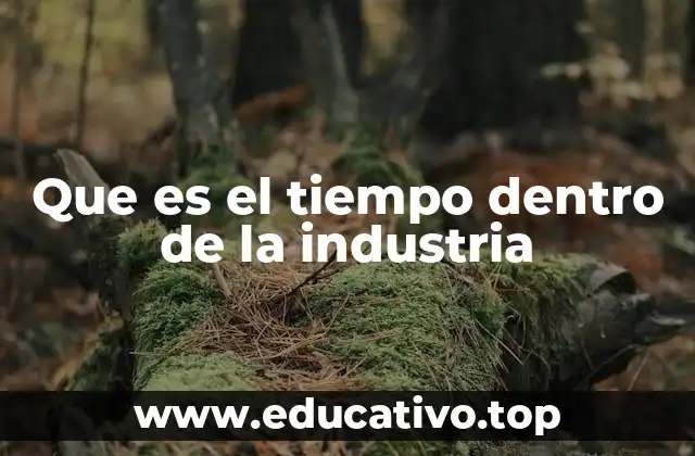 Que es el tiempo dentro de la industria