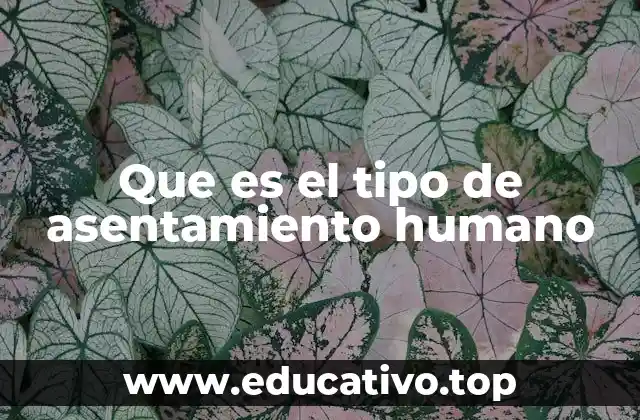 Que es el tipo de asentamiento humano