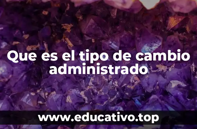 Que es el tipo de cambio administrado