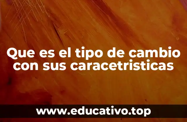Que es el tipo de cambio con sus caracetristicas