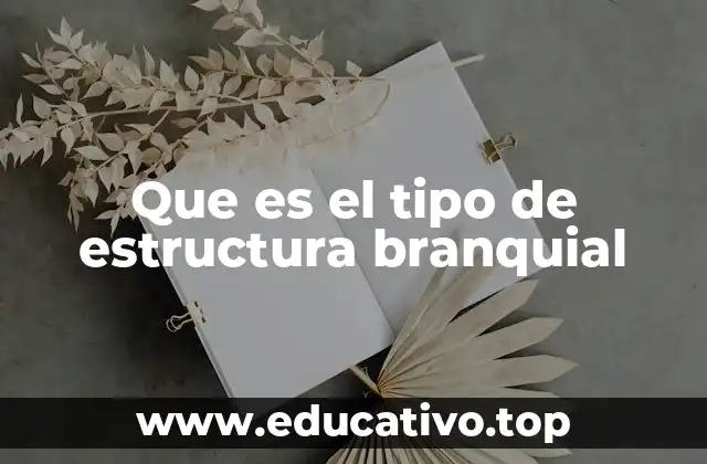 Que es el tipo de estructura branquial