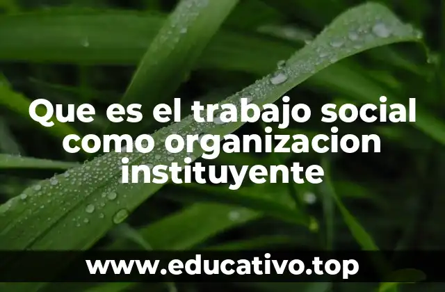 Que es el trabajo social como organizacion instituyente