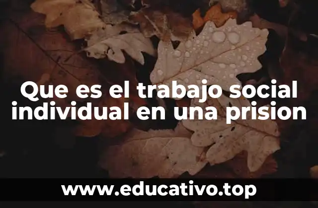 Que es el trabajo social individual en una prision
