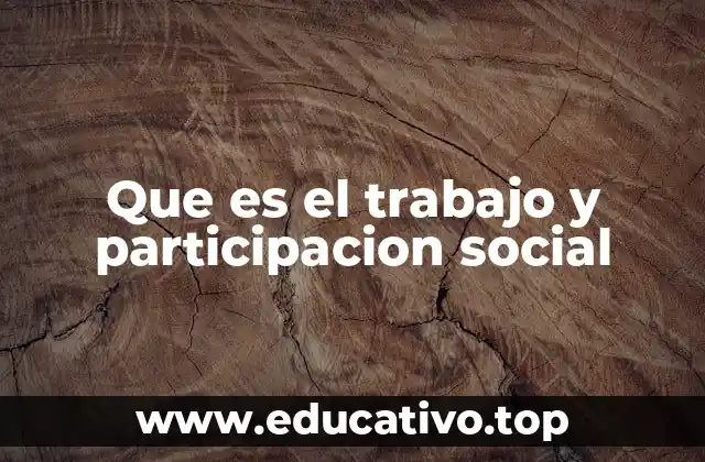 Que es el trabajo y participacion social