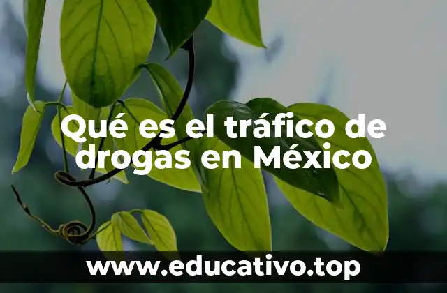 Qué es el tráfico de drogas en México