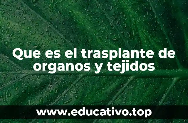 Que es el trasplante de organos y tejidos