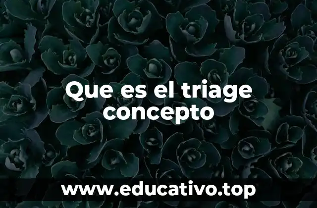 Que es el triage concepto