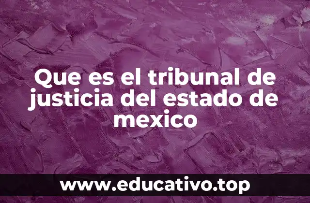 Funciones del Tribunal de Justicia en el sistema judicial estatal