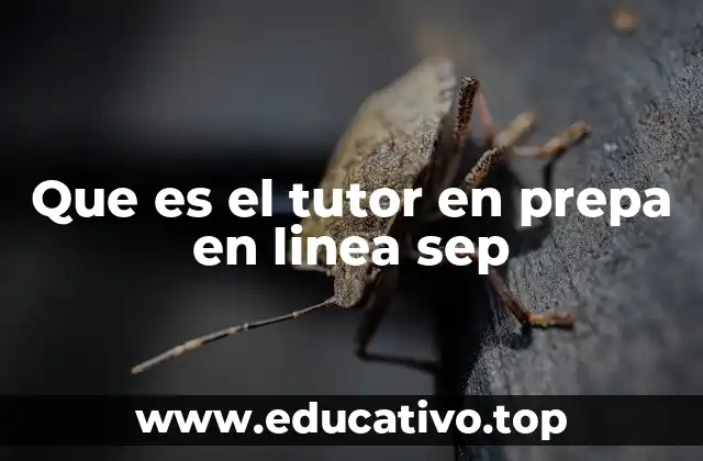 Que es el tutor en prepa en linea sep