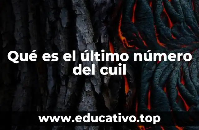 Qué es el último número del cuil