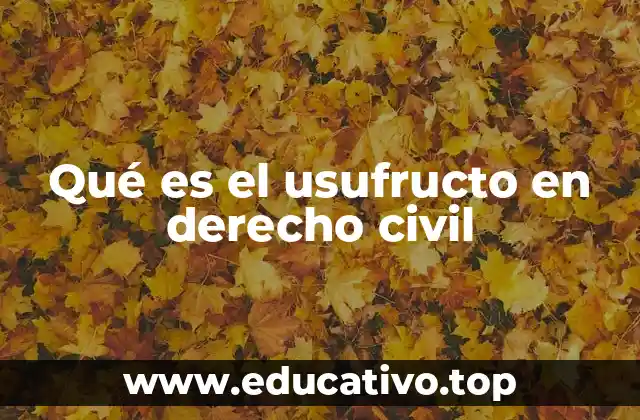 Qué es el usufructo en derecho civil