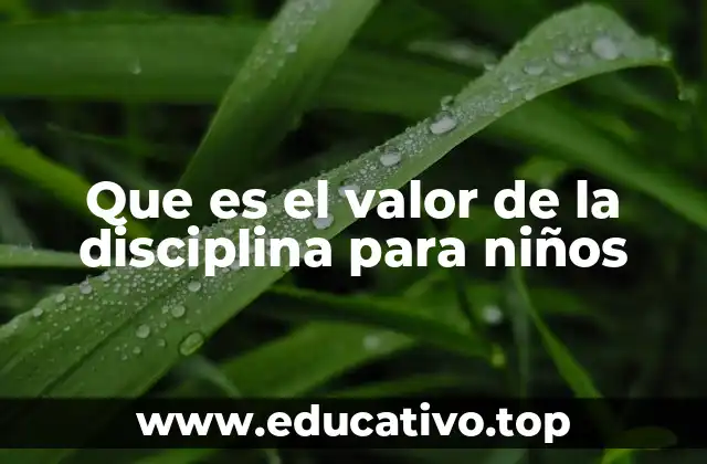 Que es el valor de la disciplina para niños