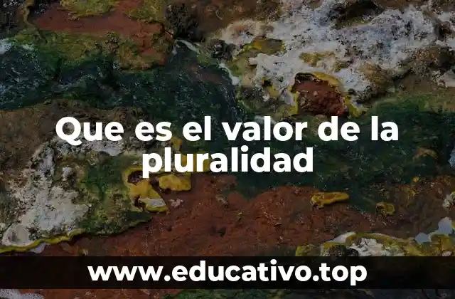 Que es el valor de la pluralidad