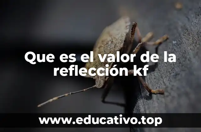 Que es el valor de la reflección kf
