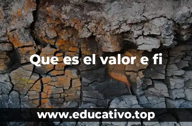 Que es el valor e fi