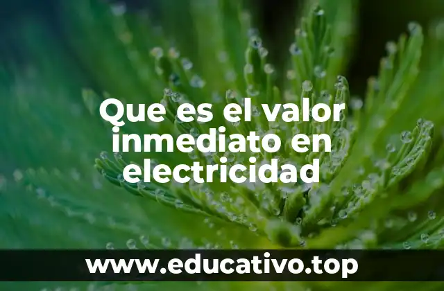 Que es el valor inmediato en electricidad