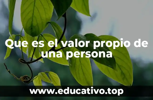 Que es el valor propio de una persona